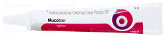 Mucolcer Paste 5gm Mucolcer Paste 5gm