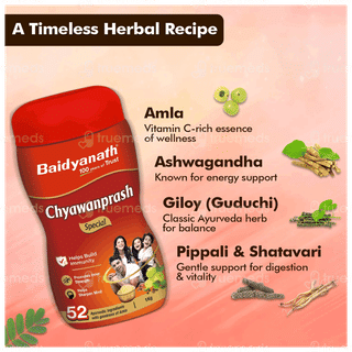 Baidyanath Chyawanprash Special 1Kg