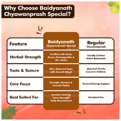 Baidyanath Chyawanprash Special 1Kg