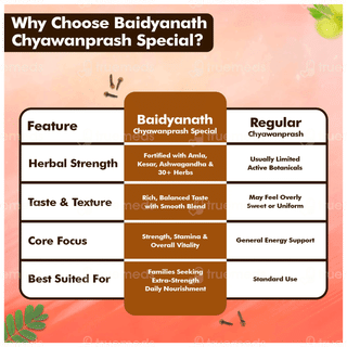 Baidyanath Chyawanprash Special 1Kg