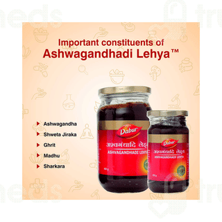 Dabur Ashwagandhadi Lehya 400gm
