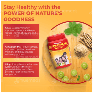Hamdard Chyawanprash Awaleha 1kg