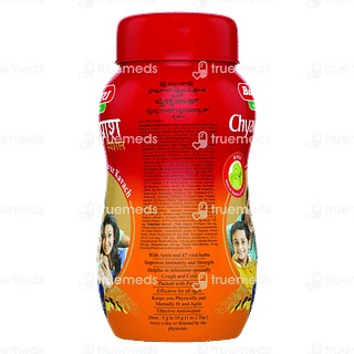 Baidyanath Chyawanprash Special 500 GM