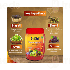 Sri Sri Tattva Chyawanprash Paste 250 GM