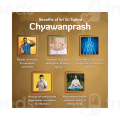 Sri Sri Tattva Chyawanprash Paste 250 GM