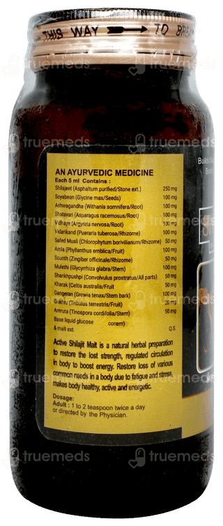 Knoll Active Shilajit Malt 400gm