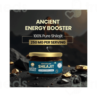 Himalayan Organics Himalayan Shilajit 20gm