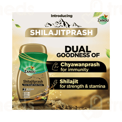 Zandu Shilajitprash 450gm Zandu Shilajitprash 450gm