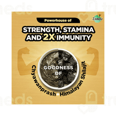 Zandu Shilajitprash 450gm Zandu Shilajitprash 450gm