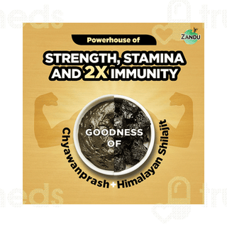 Zandu Shilajitprash 450gm