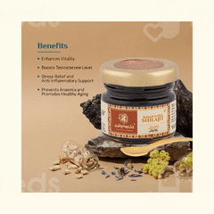 Ashpveda Kesar Gold Shilajit 20Gm