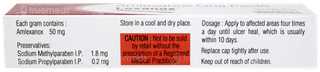 Lexanox Oral Paste 10Gm