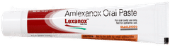 Lexanox Oral Paste 10Gm