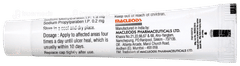 Lexanox Oral Paste 10Gm