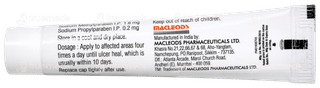 Lexanox Oral Paste 10Gm