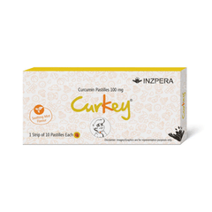 Curkey Mint Flavour Pastille 10