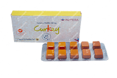 Curkey Mint Flavour Pastille 10 Curkey Mint Flavour Pastille 10