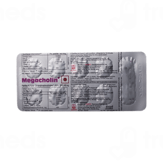 Megacholin 400 MG Pastilles 10