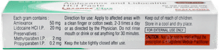 Lexanox Plus Sugar Free Paste 10gm
