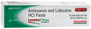 Lexanox Plus Sugar Free Paste 10gm