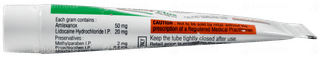 Lexanox Plus Sugar Free Paste 10gm