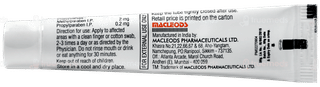 Lexanox Plus Sugar Free Paste 10gm
