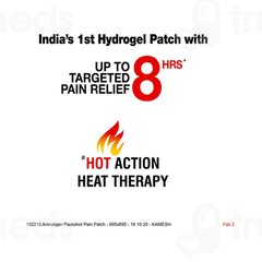 Amrutanjan Advanced Pain Relief Patch 2