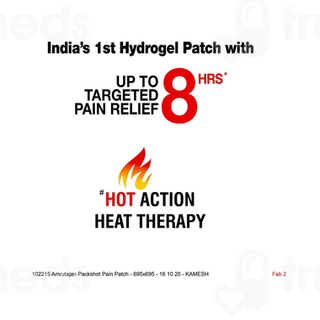 Amrutanjan Advanced Pain Relief Patch 2