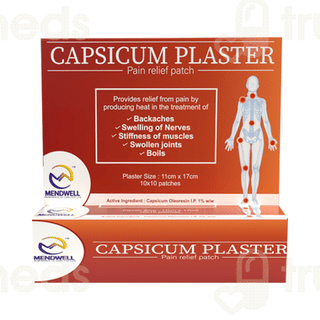 Mendwell Capsicum Plaster 11cm X 17cm Patch Pack Of 10