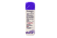 Panderm + Dusting Powder 100gm Panderm + Dusting Powder 100gm