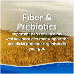 Fybogel Orange Sugar Free Isabgol Husk Powder 100gm