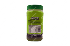 Enerzal Lime Flavour Powder 500gm