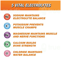 Enerzal Lime Flavour Powder Jar 500Gm
