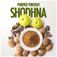 Kapiva Himalayan Shilajit Resin 20gm