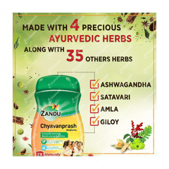 Zandu Chyavanprash Avaleha 450gm
