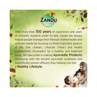 Zandu Chyavanprash Avaleha 450gm