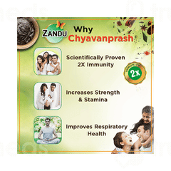 Zandu Chyavanprash Avaleha 450gm