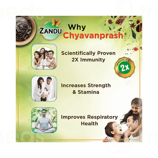 Zandu Chyavanprash Avaleha 450gm