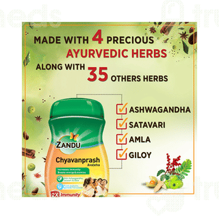 Zandu Chyavanprash Avaleha 450gm