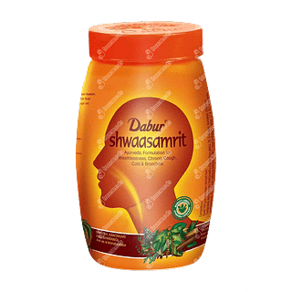 Dabur Shwaasamrit Powder 400 GM