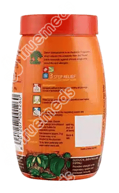 Dabur Shwaasamrit Powder 400 GM