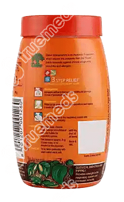 Dabur Shwaasamrit Powder 400 GM