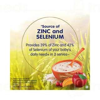Nestle Nestum Rice Fruits From 10 To 24 Months Baby Cereal 300gm