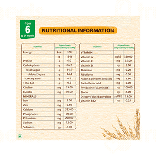 Nestle Nestum Rice From 6 To 24 Months Baby Cereal 300gm