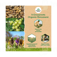 Organic India Triphala Powder 100 GM