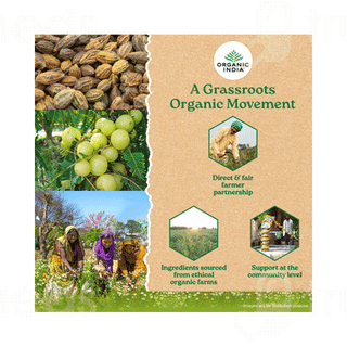 Organic India Triphala Powder 100 GM