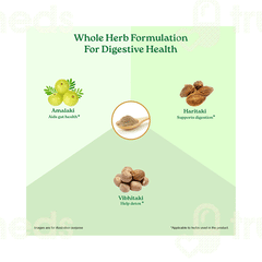Organic India Triphala Powder 100 GM