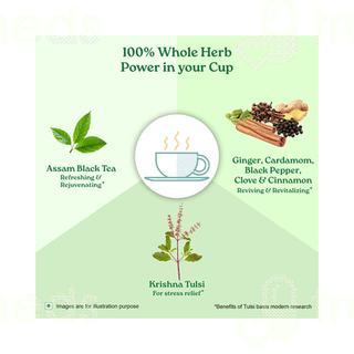 Organic India Tulsi Masala Tea 100 Gm