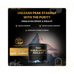 Dabur Himalayan Shilajit 15Gm