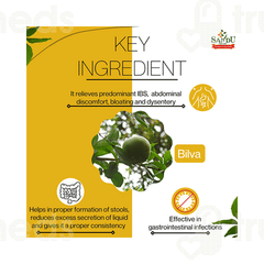 Sandu Bilagyl Powder 250gm